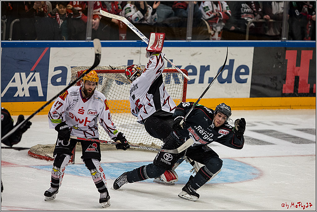 DEL, Koelner Haie - Fishtown Pinguins Bremerhaven, 29.01.2017
